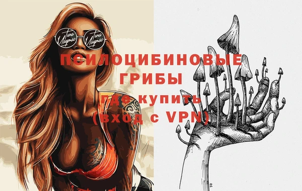 СК Абаза