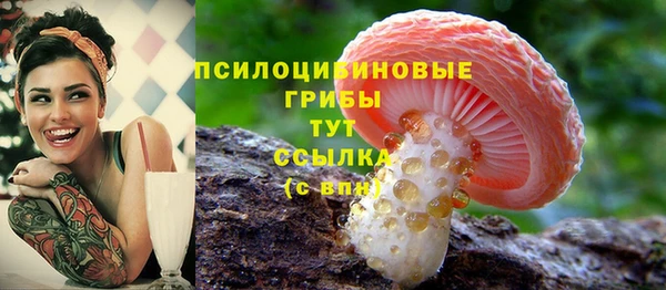 СК Абаза
