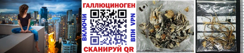 Галлюциногенные грибы мицелий  Тырныауз 